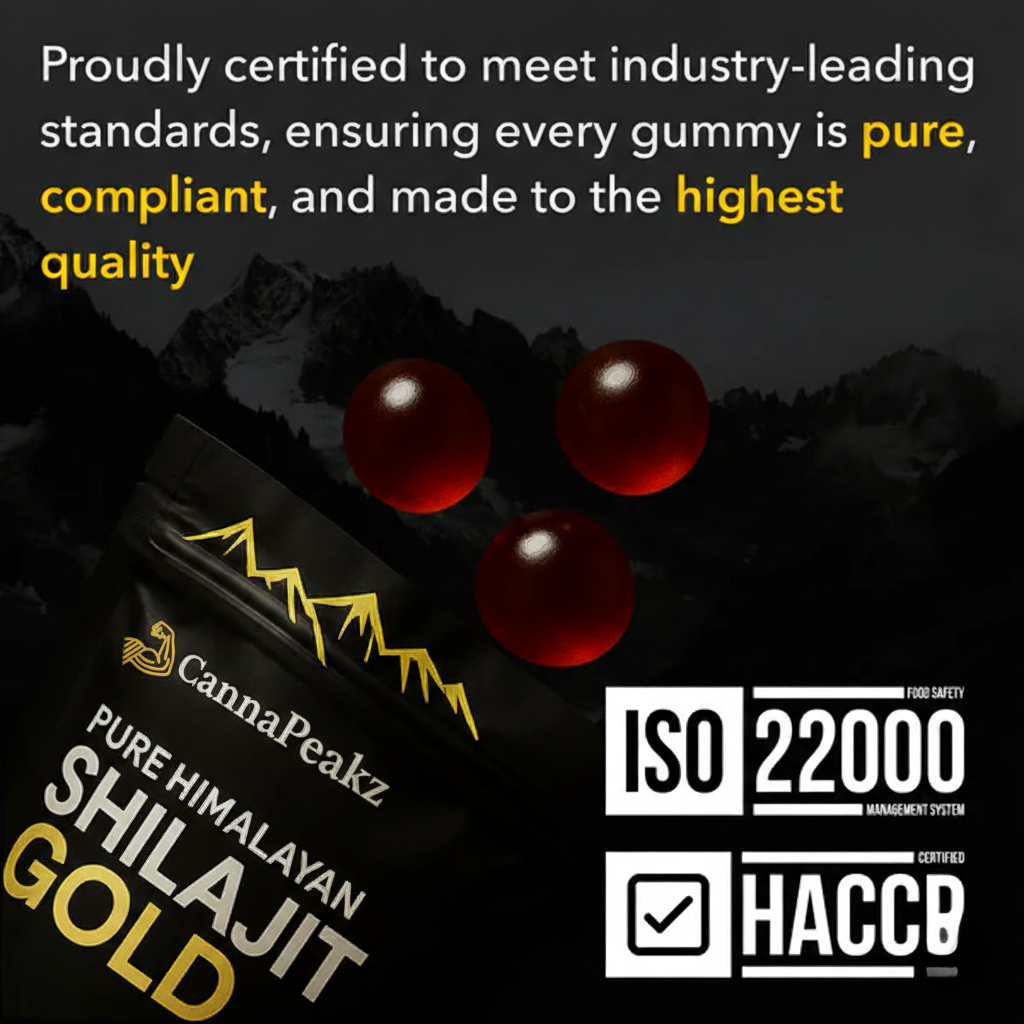 Pure Shilajit Gummies – Daily Energy, Focus & Vitality